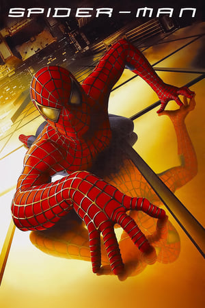 Download Spider-Man 1 (2002) Full Movie