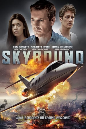 Download Skybound (2017) Full Movie