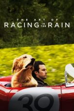 Nonton & Download Film The Art of Racing in the Rain (2019) Full Movie Sub Indo