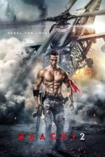 Download Baaghi 2 (2018) HD Full Movie