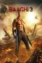 Download Baaghi 3 (2020) HD Full Movie