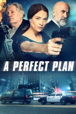 Download A Perfect Plan (2020) HD Full Movie