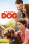 Download Think Like a Dog (2020) HD Full Movie