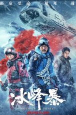 Nonton & Download Film Wings Over Everest (2019) Full Movie Streaming