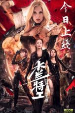 Nonton & Download Film Mulan Angels 2: Treasure Map (2020) Full Movie Streaming