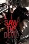 Nonton & Download Film I Saw The Devil (2010) Full Movie Streaming