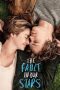 Nonton & Download Film The Fault in Our Stars (2014) Full Movie Streaming