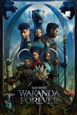 Nonton Streaming Download Film Black Panther: Wakanda Forever (2022) Sub Indo Full Movie