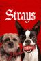 Nonton Streaming Download Film Strays (2023) Subtitle Indonesia Full Movie